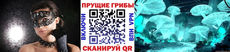 Псилоцибиновые грибы прущие грибы  MEGA ONION  Кингисепп  магазин  наркотиков 
