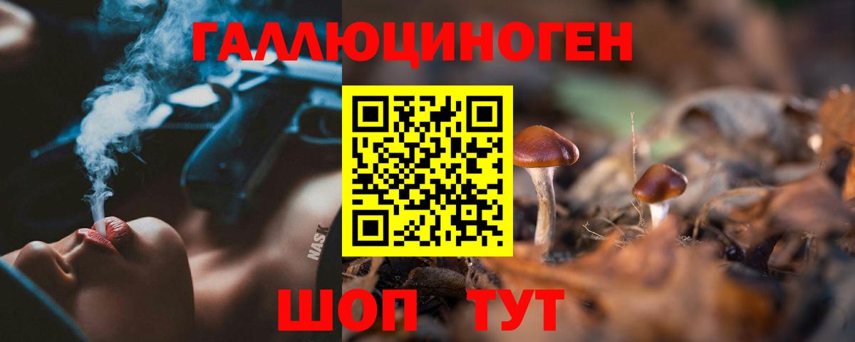 Галлюциногенные грибы MAGIC MUSHROOMS  Вход с VPN  Кингисепп 
