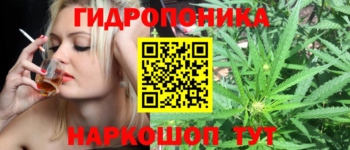 Бошки Шишки SATIVA & INDICA Кингисепп